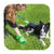 Beco Bamboo Poop Bag Dispenser - The Pets Club