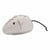 Beco Catnip Toy for Cats - The Pets Club