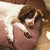 Beco Mattress Cover Large - ThePetsClub