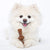 Benebone 2-Pack Maplestick/Zaggler (Tiny) – Bacon - ThePetsClub