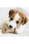 Benebone Puppy 2-Pack Dental Chew/Wishbone (Tiny) – Bacon - ThePetsClub
