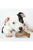 Benebone Puppy 2-Pack Dental Chew/Wishbone (Tiny) – Bacon - ThePetsClub
