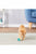 Bergan Led Replacement Ball – Twinkle Ball - The Pets Club