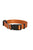 BOBBY ACCESS COLLAR FOR DOGS - ThePetsClub