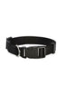 Bobby Access Collar for Dogs