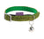 BOBBY Disco Cat Collar - Green / XS - ThePetsClub