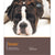 Boxer - Dog Expert - ThePetsClub