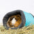 Bunny Nature Fleecy - ThePetsClub