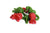 Camon Animalveg Snack With Smoke And Mint Flavour - 157g - The Pets Club