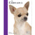 Chihuahua - Best of Breed - ThePetsClub