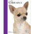 Chihuahua - Best of Breed