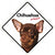 CHIHUAHUA ON BOARD SIGN - ThePetsClub