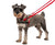 COA HTL Training Lead For Dog - The Pets Club