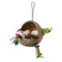 Coollapet  Coco Frog Foraging Toy