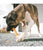 Duvo+ Meat! Chicken & Rawhide Sticks Large - ThePetsClub