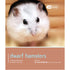 Dwarf Hamster - Pet Friendly