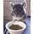 Exotic Nutrition Chinchilla Diet With Rose Hips - 2lb - The Pets Club
