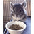 Exotic Nutrition Chinchilla Diet With Rose Hips - 2Lb - The Pets Club