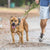Fida Heavy Duty Dog Leash – Yellow - The Pets Club