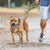 Fida Heavy Duty Dog Leash – Yellow - The Pets Club