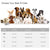 Fida Retractable Dog Leash Heavy Duty (Styleash Series) - ThePetsClub