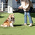 Fida Retractable Dog Leash (JFA Series) - ThePetsClub