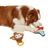 FOFOS Alligator Puppy Toy - The Pets Club