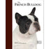 French Bulldog - Best of Breed