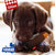 GiGwi Heavy Punch “Punching Bag” with Squeaker - The Pets Club
