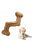 GiGwi Nylon Bone With S Shape – 5.5″ (Medium) - The Pets Club
