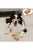 GiGwi Nylon Bone With S Shape – 7″ (Large) - The Pets Club