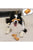 GiGwi Nylon Bone With S Shape – 7″ (Large) - ThePetsClub