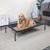 Go Pet Club Elevated Cooling Pet Cot Bed - The Pets Club