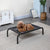 Go Pet Club Elevated Cooling Pet Cot Bed for Pets - The Pets Club