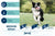 Happy Dog Fit & Vital - Medium Adult Dry Dog Food - The Pets Club