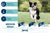 Happy Dog Fit & Vital - Medium Adult Dry Dog Food - The Pets Club