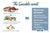 Happy Dog Mini Sensible Piemonte Dry Dog Food - The Pets Club