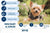 Happy Dog Supreme Young Mini-Baby & Junior Dry Dog Food - 4kg - The Pets Club