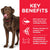 Hill’s Science Plan Healthy Mobility Large Breed Adult Dog Food With Chicken - 14kg - The Pets Club