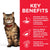 Hill’s Science Plan Sensitive Stomach & Skin Adult Cat Food With Chicken - 1.5kg - The Pets Club
