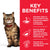 Hill’s Science Plan Sensitive Stomach & Skin Adult Cat Food With Chicken - 1.5kg - The Pets Club