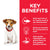Hill's Science Plan Small & Mini Puppy Food with Chicken - The Pets Club