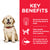 Hill's Science Plan Large Breed Puppy Food with Chicken - ThePetsClub