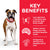 Hill’s Science Plan Light Medium Adult Dog Food With Chicken- Dry Food - ThePetsClub