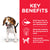 Hill's Science Plan Puppy Wet Food with Chicken - 12x370g - ThePetsClub