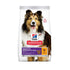 Hill’s Science Plan Sensitive Stomach & Skin Medium Adult Dog Dry Food With Chicken