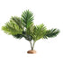 Hobby Artificial Palm 60 X 40 X 55 Cm