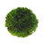 Hobby Artificial Plant - Plant Ball - The Pets Club