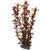 Hobby Artificial Plant - Rotala - The Pets Club