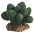 Hobby Cactus Atacama -7 CM